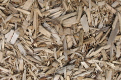 biomass boilers Rhitongue